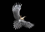 E5:K18 Head Kabuki Eagle Type1